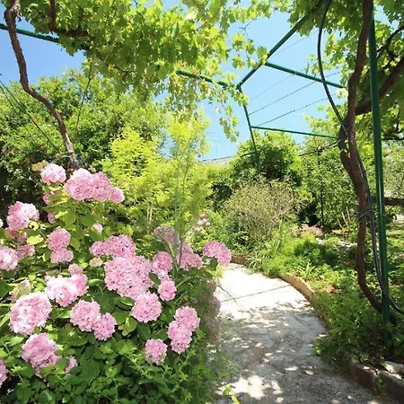 Apartament Ew Lapad *